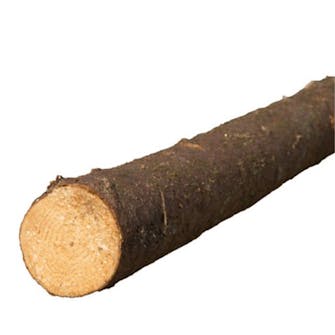 slanor med bark slanor med bark